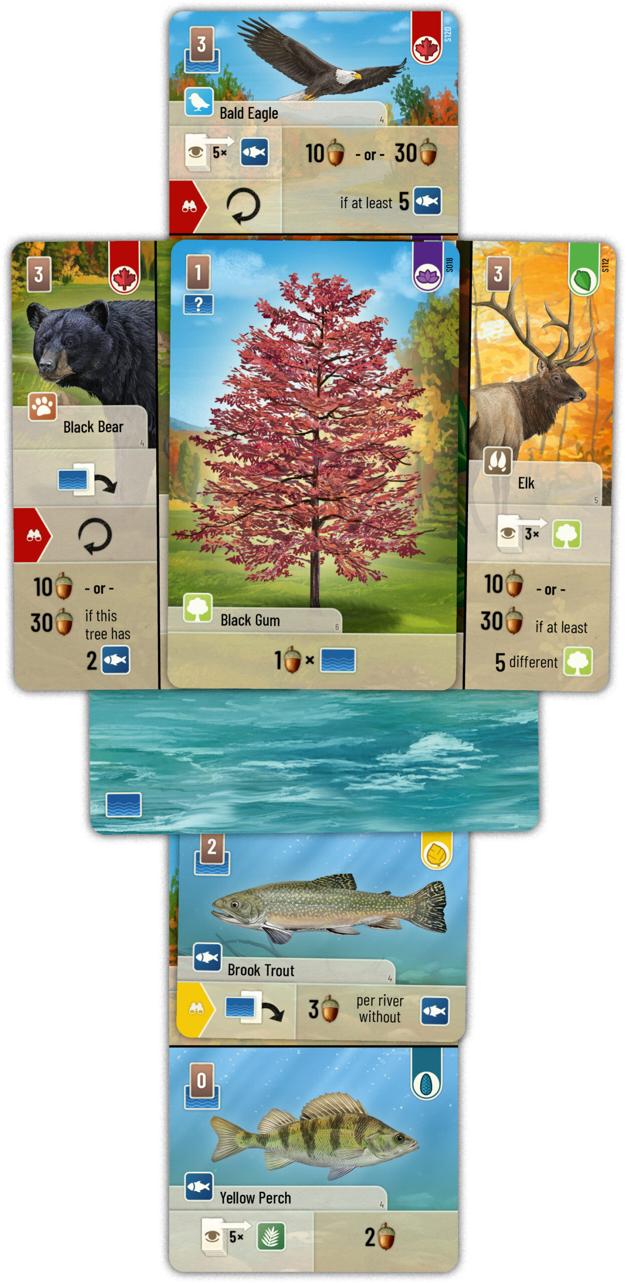 FORET MIXTE SMOKY MOUNTAINS - AS2TREFLE FAITES VOS JEUX - 26150 DIE1