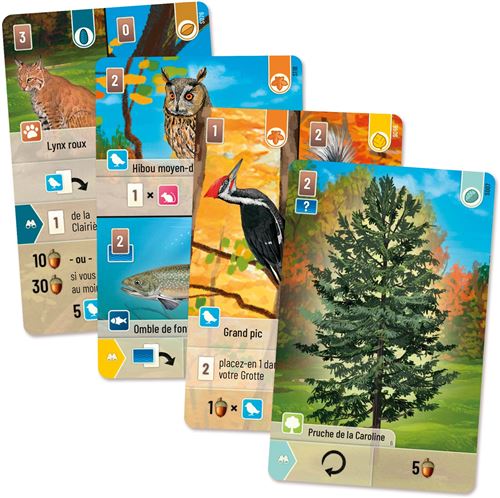 Forêt Mixte Smoky Mountains - AS2TREFLE FAITES VOS JEUX - 26150 DIE2